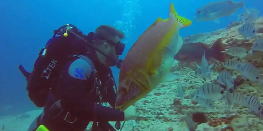 Diving in La Graciosa