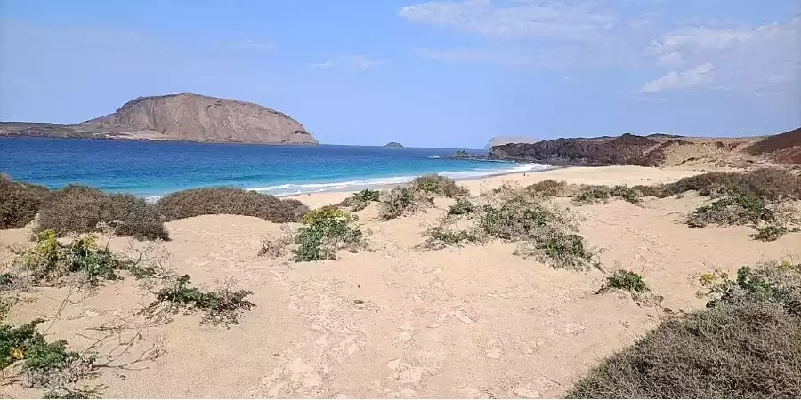 Flora y Fauna of La Graciosa